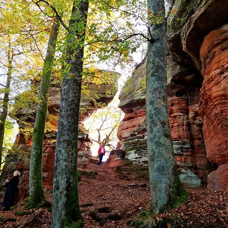 Cornelia Und Michael Persang Gbr