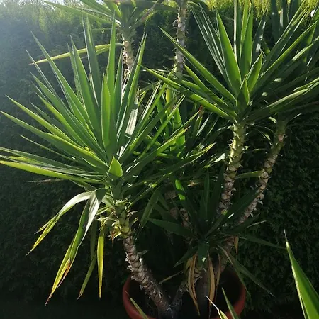 Apartment Cornelia Und Michael Persang Gbr *