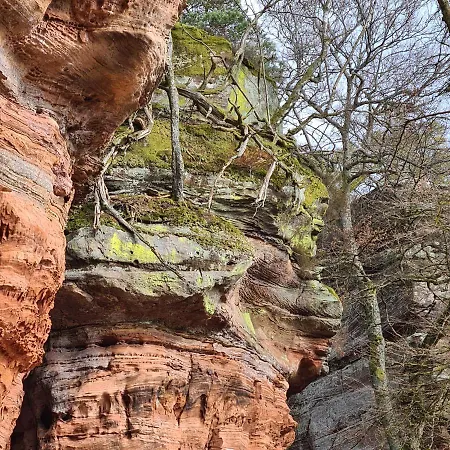 Appartement Cornelia Und Michael Persang Gbr Eppenbrunn