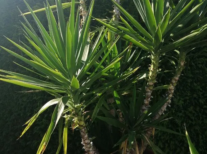 아파트 Cornelia Und Michael Persang Gbr *